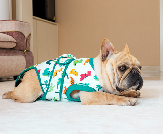 Recovery Suit for Dogs Cats After Surgery Professional Pet Recovery Shirt clothing clothes