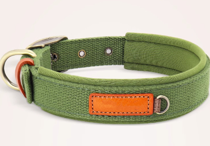 Dog Collar Neprone Canvas With Handle Adjustable Heavy Duty Metal Buckle Tactical Pet Dog Collars