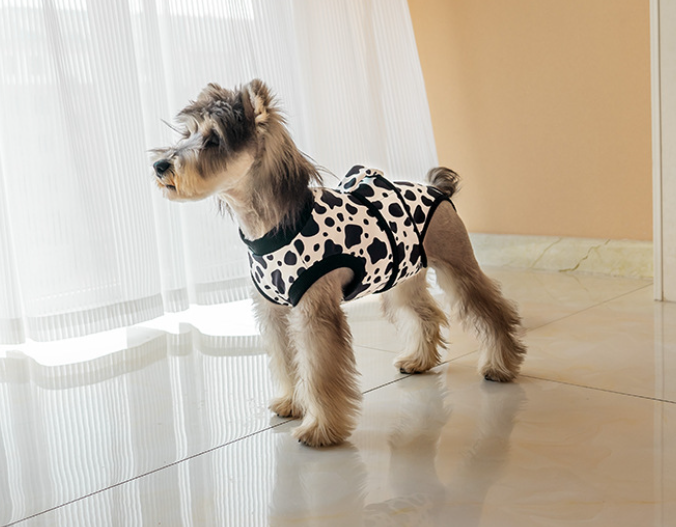 Recovery Suit for Dogs Cats After Surgery Professional Pet Recovery Shirt clothing clothes