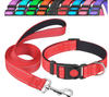 Reflective Neoprene Adjustable Padded Nylon pet Dog Collar leash lead