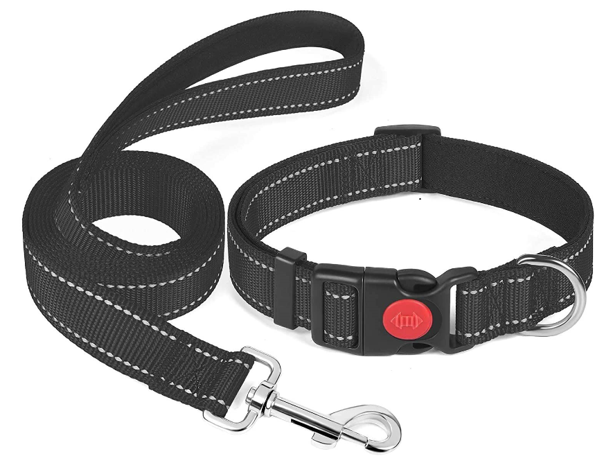 Reflective Neoprene Adjustable Padded Nylon pet Dog Collar leash lead