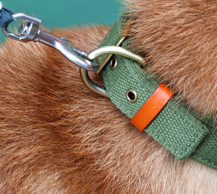 Dog Collar Neprone Canvas With Handle Adjustable Heavy Duty Metal Buckle Tactical Pet Dog Collars