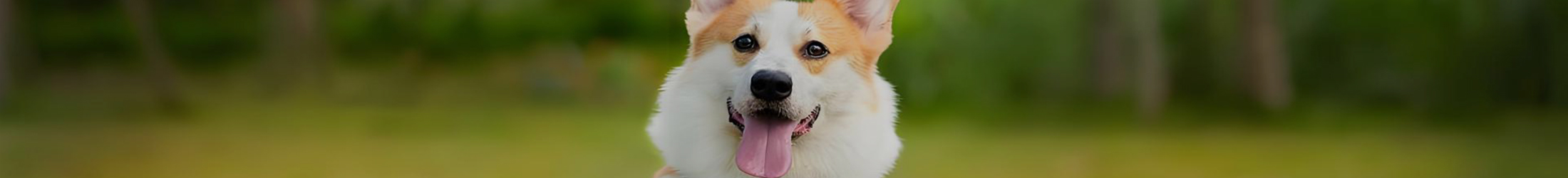 内页banner1
