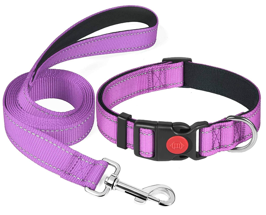 Reflective Neoprene Adjustable Padded Nylon pet Dog Collar leash lead