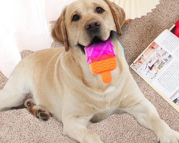 Custom Ice Cream Design Durable Tpr Dog Toys pet Chew Dog Toy