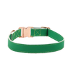 Rose Metal Buckle PU Leather Pet Collars Dog Collar